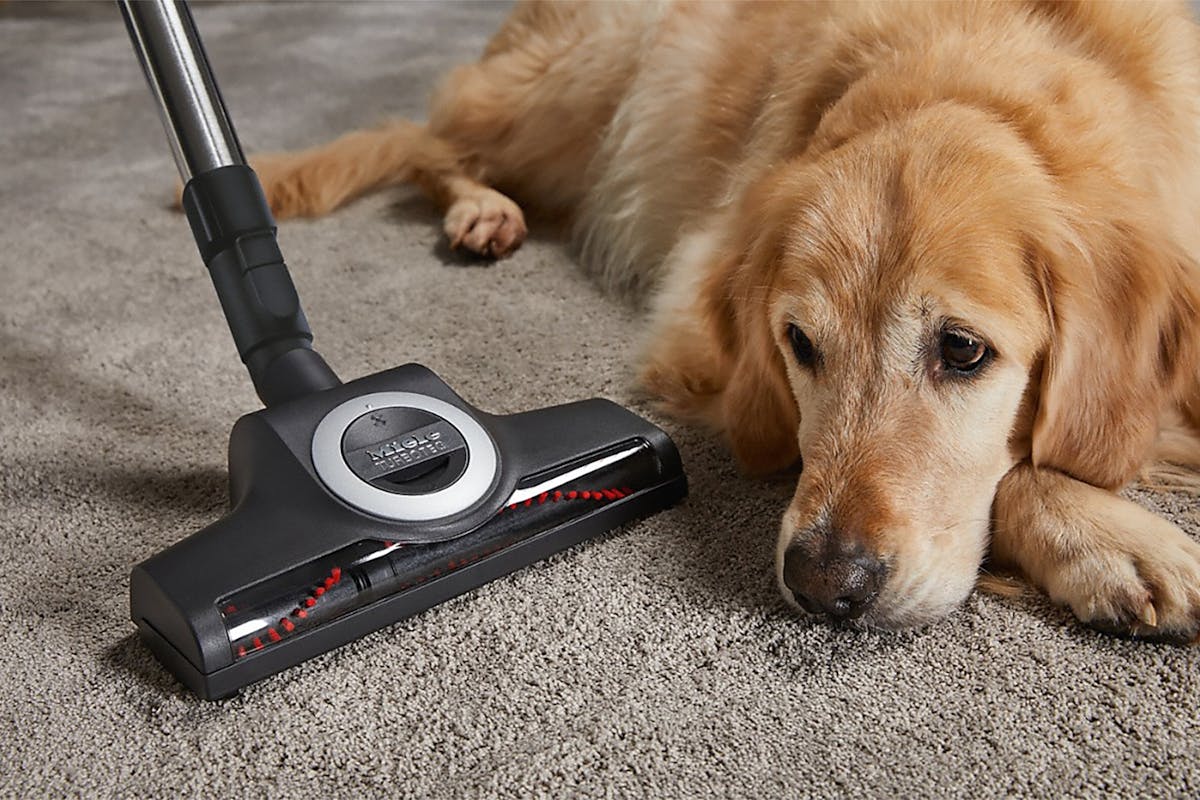 Miele Blizzard CX1 Cat & Dog SKCF5 Bagless Cylinder Vacuum Cleaner | BLIZZARDCAT&DOG-8