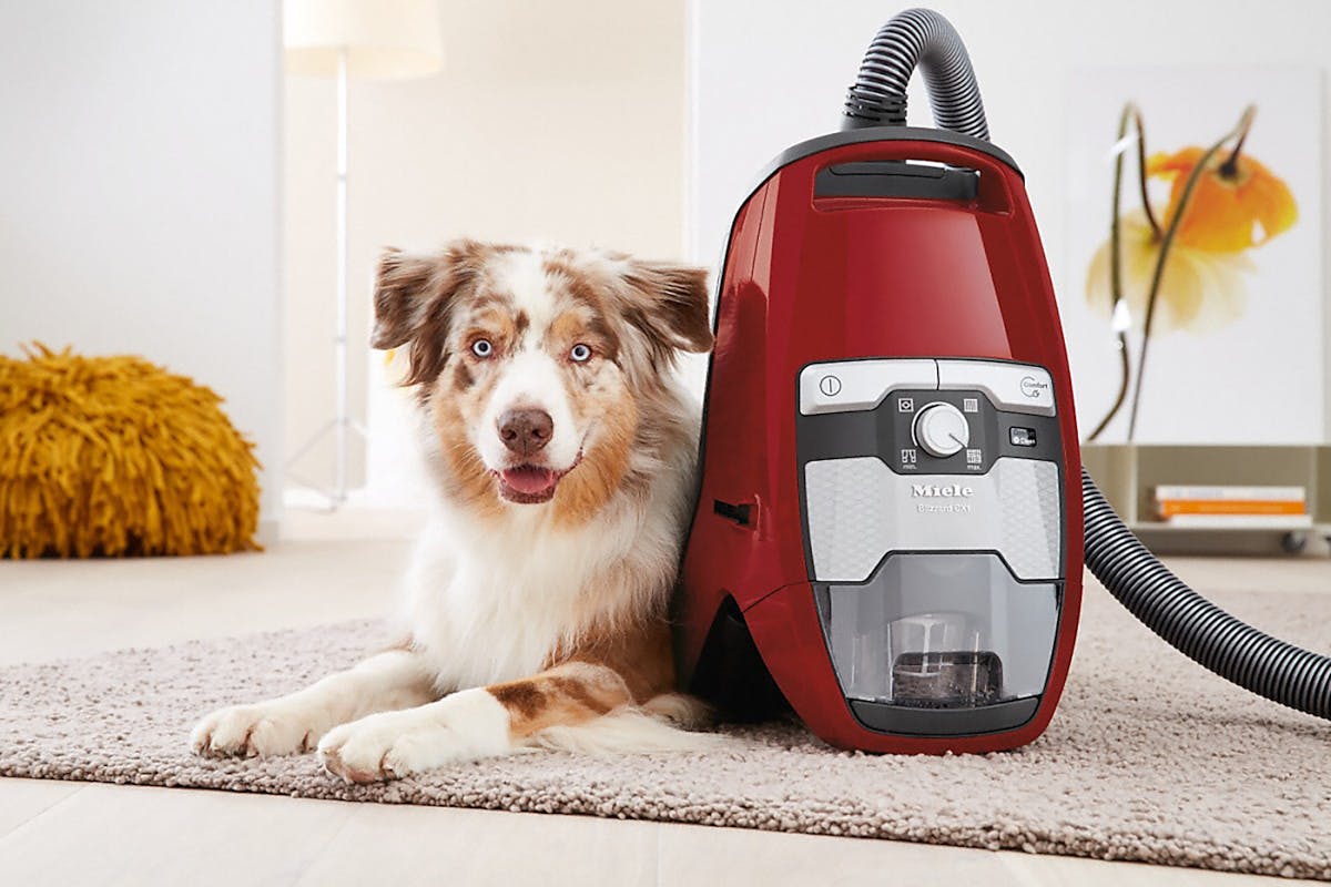 Miele Blizzard CX1 Cat & Dog SKCF5 Bagless Cylinder Vacuum Cleaner | BLIZZARDCAT&DOG-9