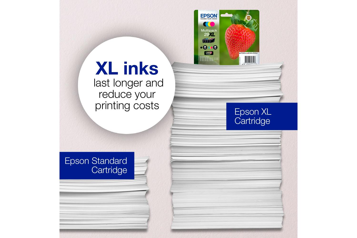 Epson 29 Strawberry Claria Home Individual Genuine Inks | Black-3