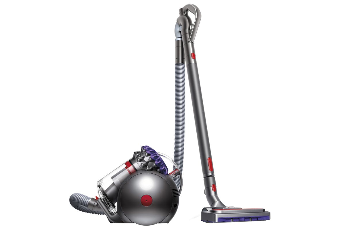 Dyson Big Ball Animal 2 Cylinder Bagless Vacuum Cleaner | 228563-01-3