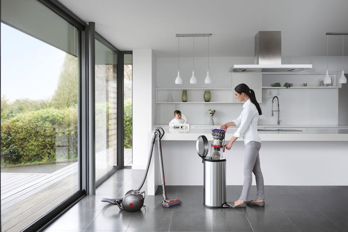 Dyson Big Ball Animal 2 Cylinder Bagless Vacuum Cleaner | 228563-01-8