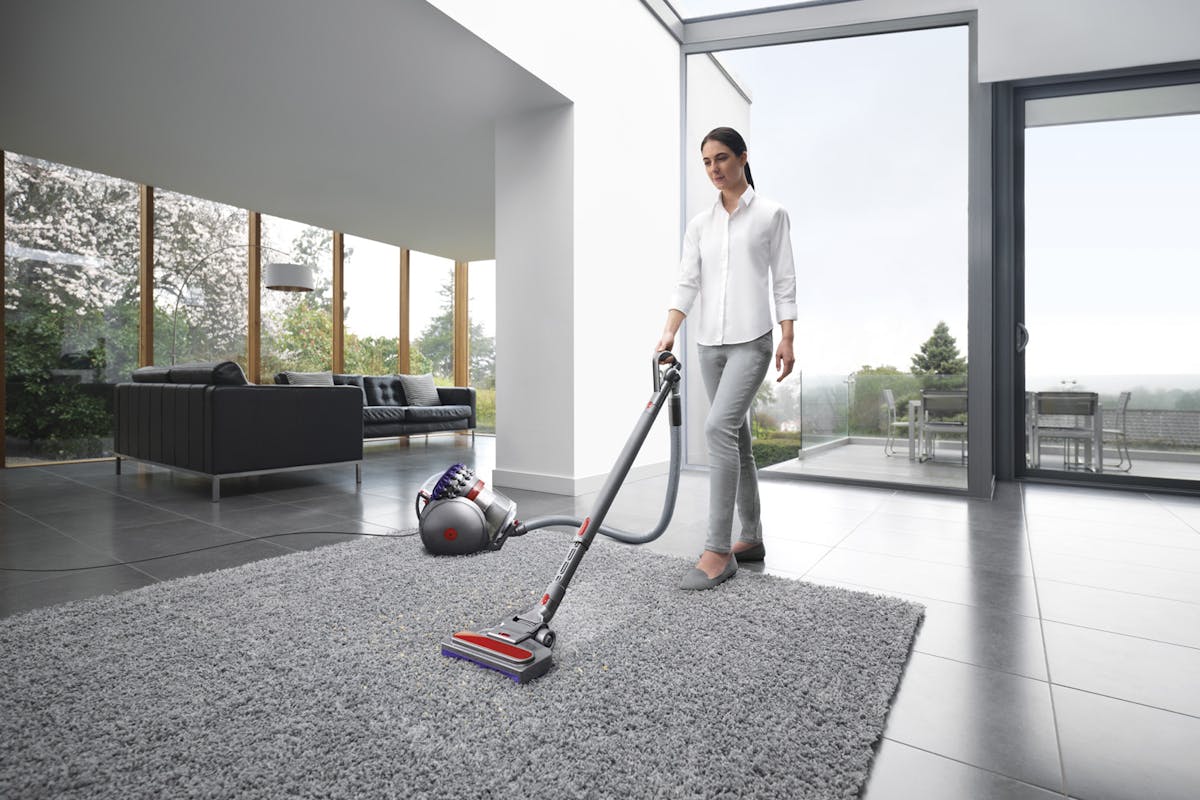 Dyson Big Ball Animal 2 Cylinder Bagless Vacuum Cleaner | 228563-01-9