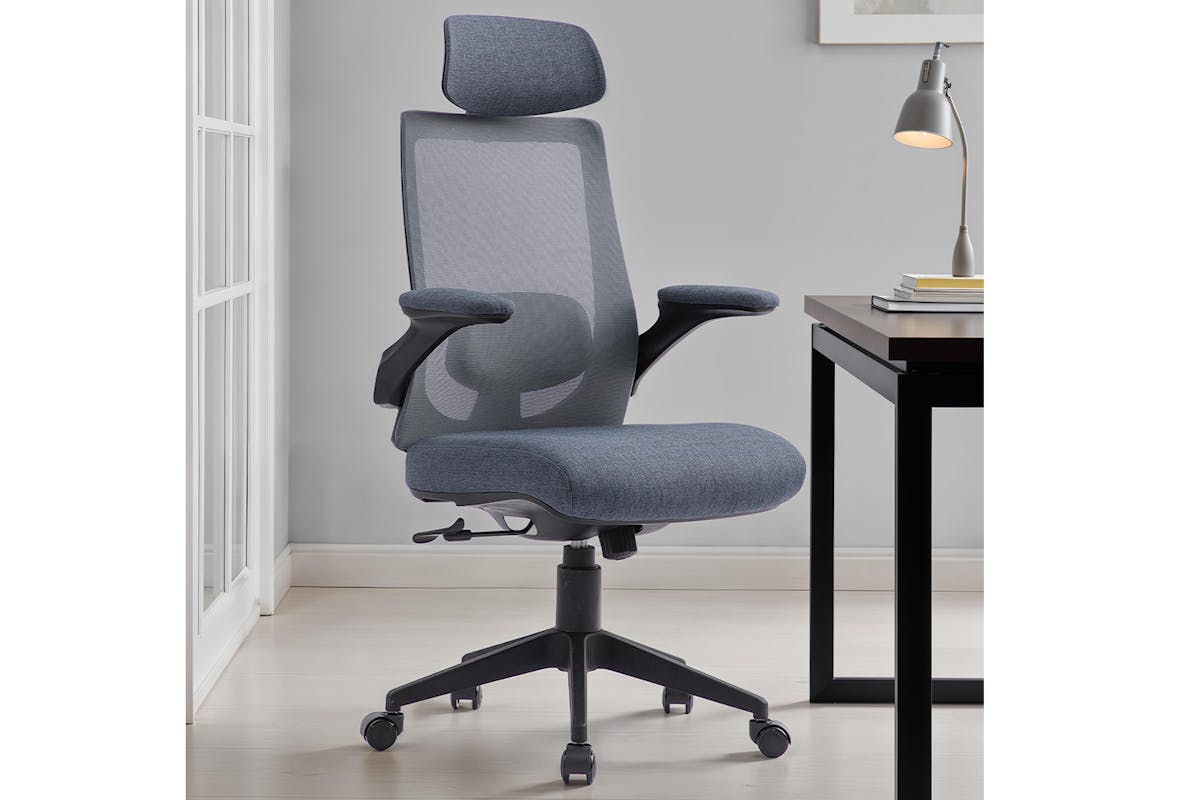 Capitis Ergonomic Office Chair | Grey-2