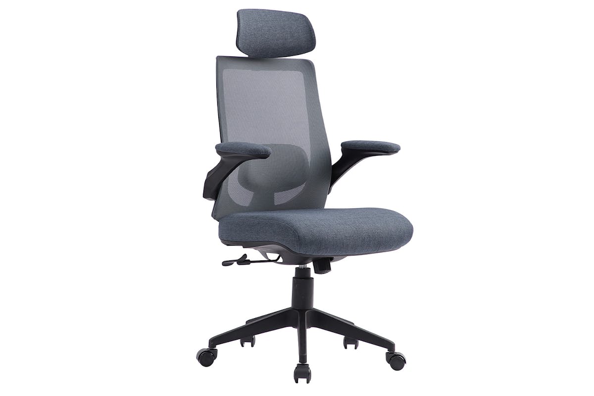 Capitis Ergonomic Office Chair | Grey-3