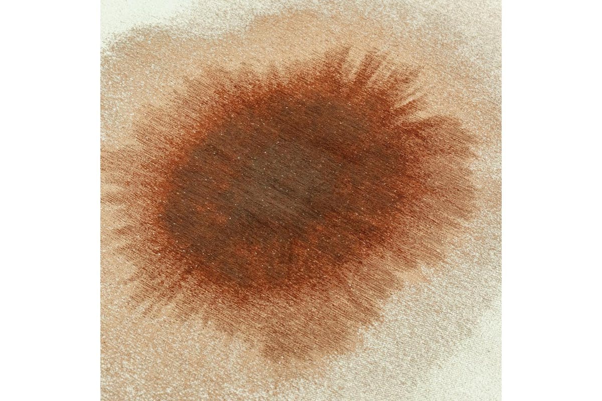 Louis De Poortere | Indian Snow Rug | 240 x 340 cm-8