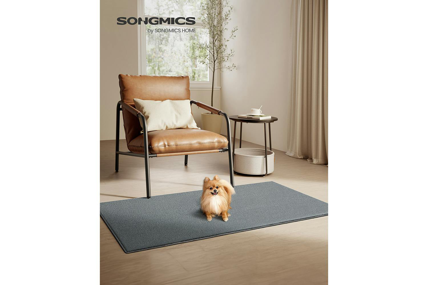 Songmics | Area Rug | Grey | 80 x 150 cm-2