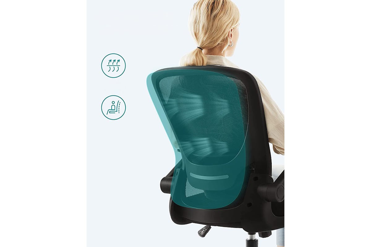 Songmics Ergonomic Office Chair | Black-6