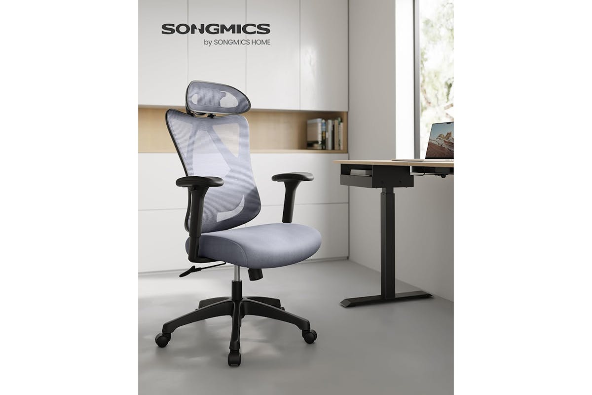 Songmics Ergonomic Office Chair | Dove Grey-2