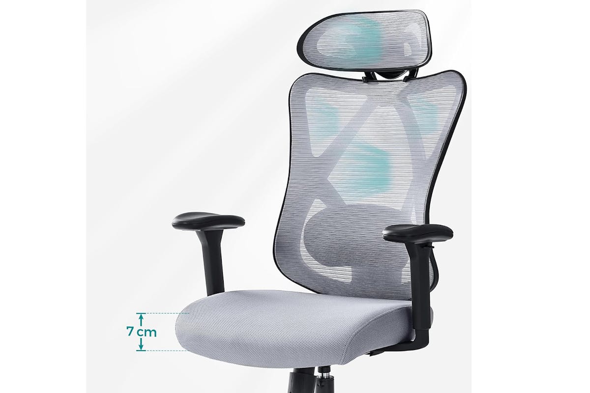 Songmics Ergonomic Office Chair | Dove Grey-6