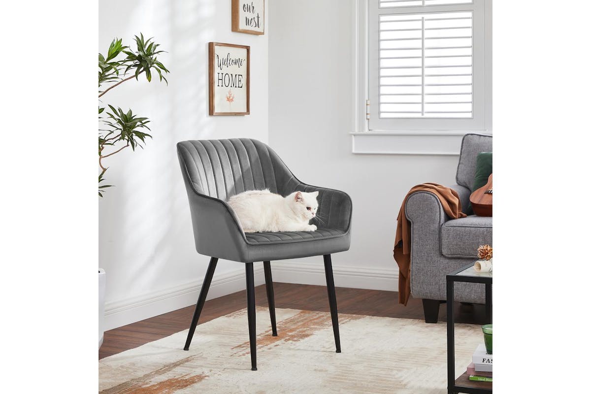 Dining Chair | Dining Chair | Velvet | Light Grey-3