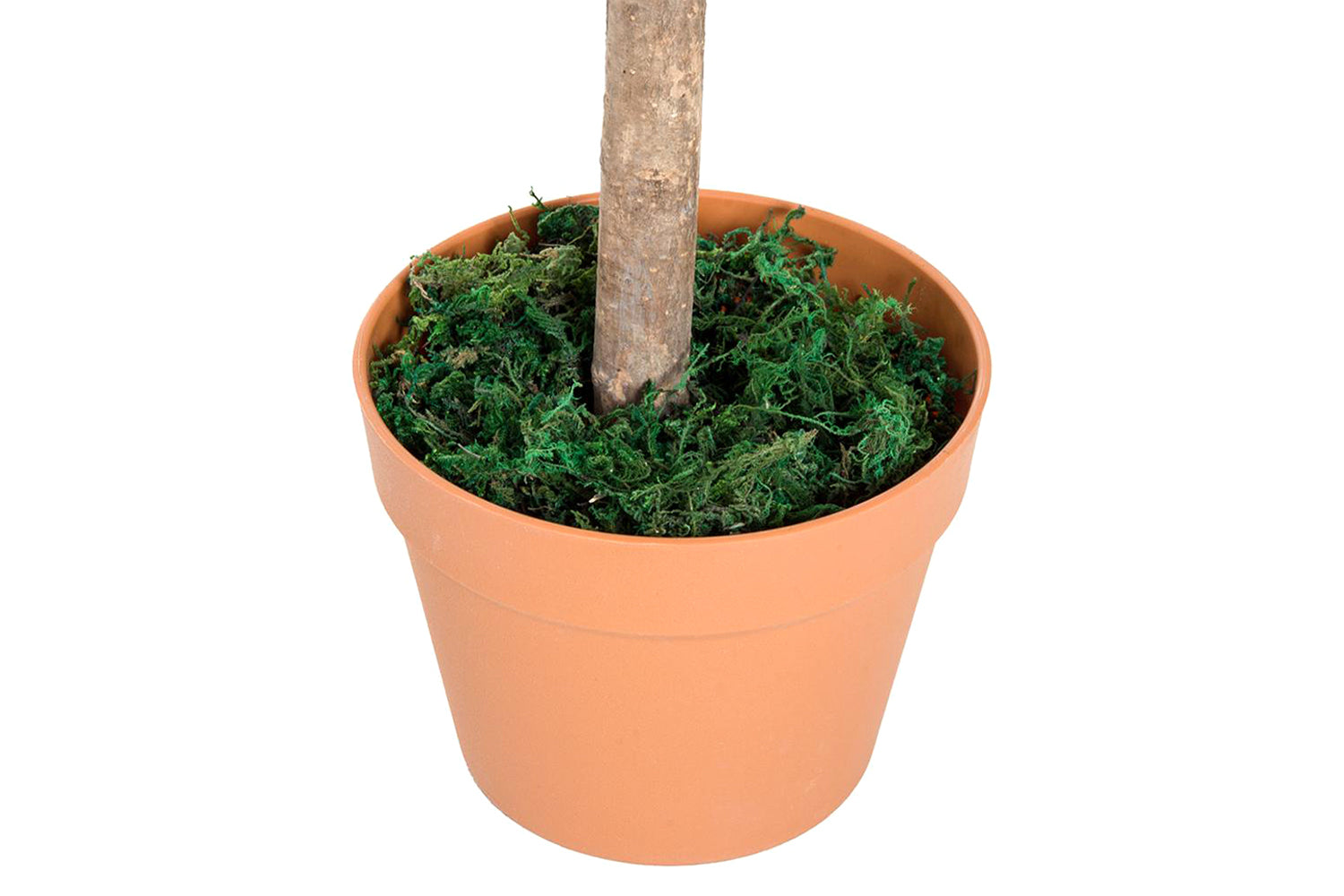 Artificial Olive Tree | 90 cm-6