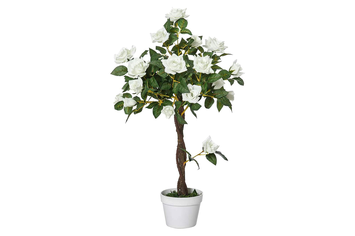 Artificial Camellia Plant | White/Green | 90 cm