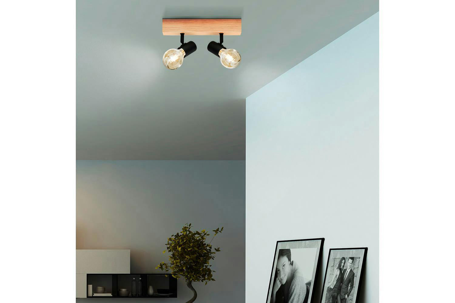 Eglo | Townshend 3 Industrial 2-light Ceiling Spotlight | Brown/Black-2