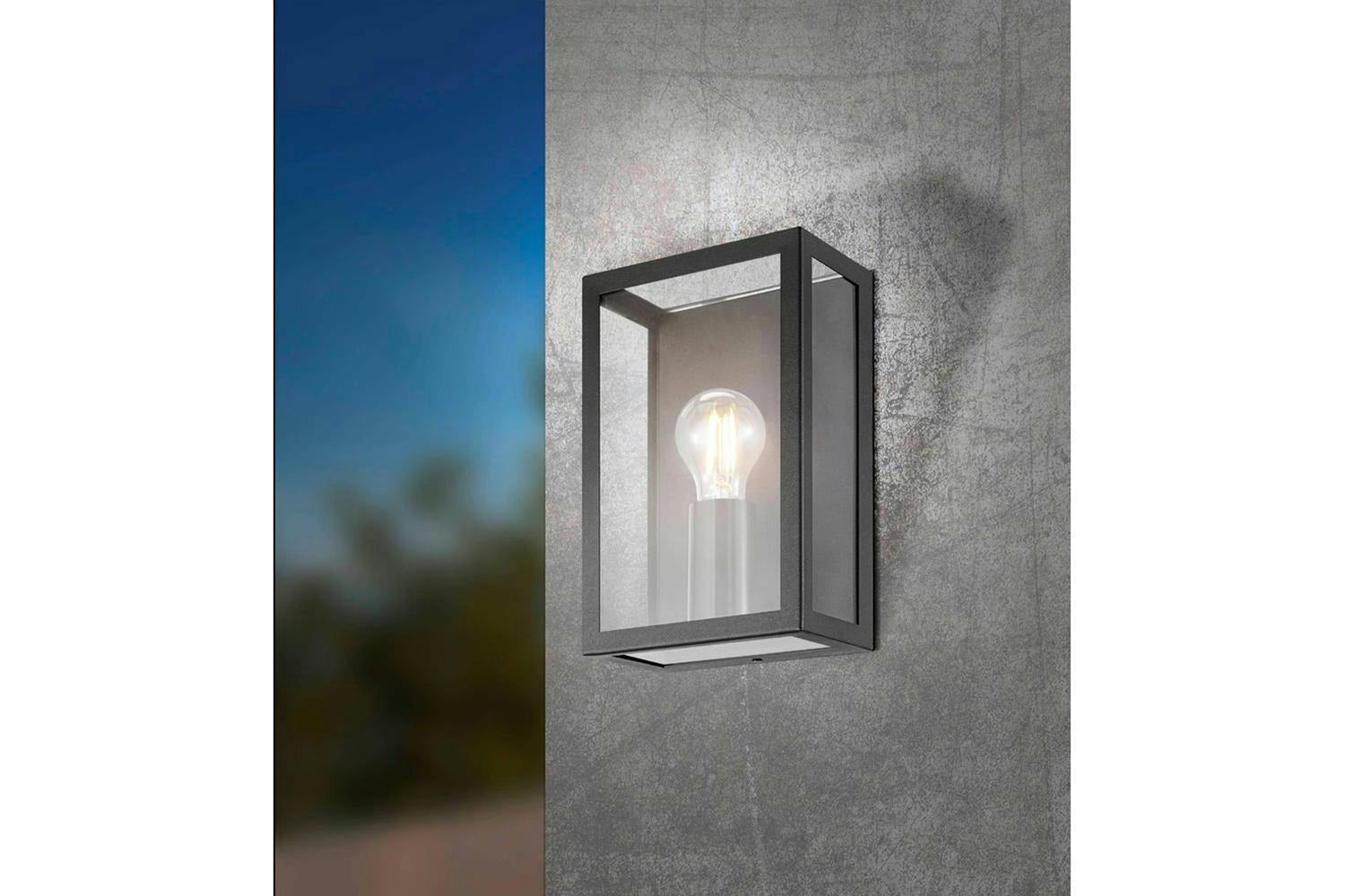 Eglo | Alamonte 1 Caged Industrial Exterior Wall Light | Black-2