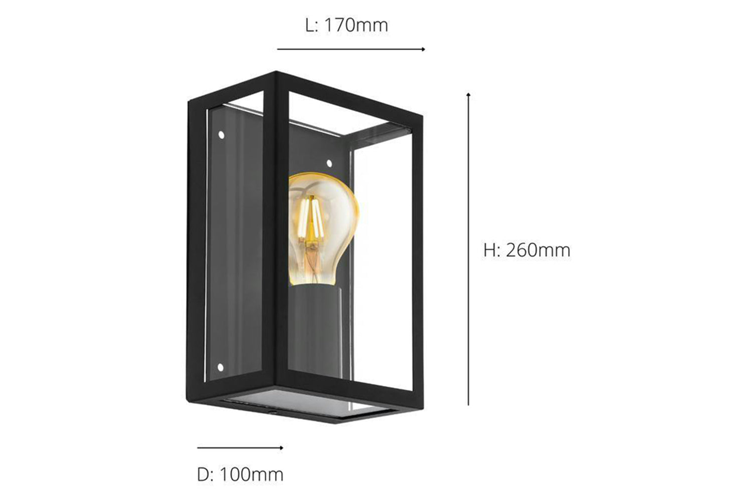 Eglo | Alamonte 1 Caged Industrial Exterior Wall Light | Black-3