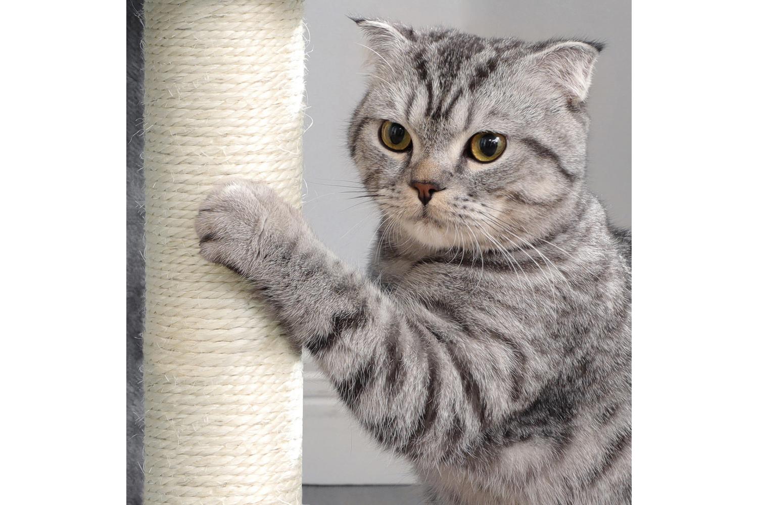 Feandrea Small Cat Tower with Hammock | Light Grey-8