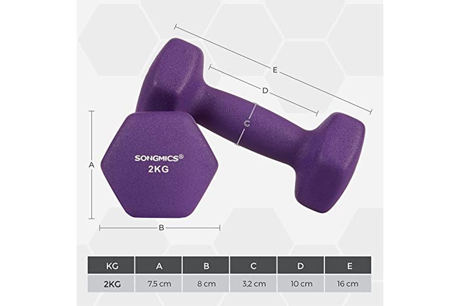 Songmics SYL64PL Dumbbells | Purple | Set of 2-5