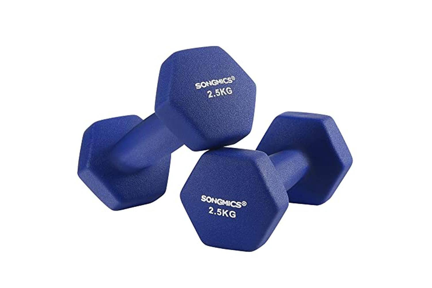 Songmics SYL65BU Dumbbells | Blue | Set of 2