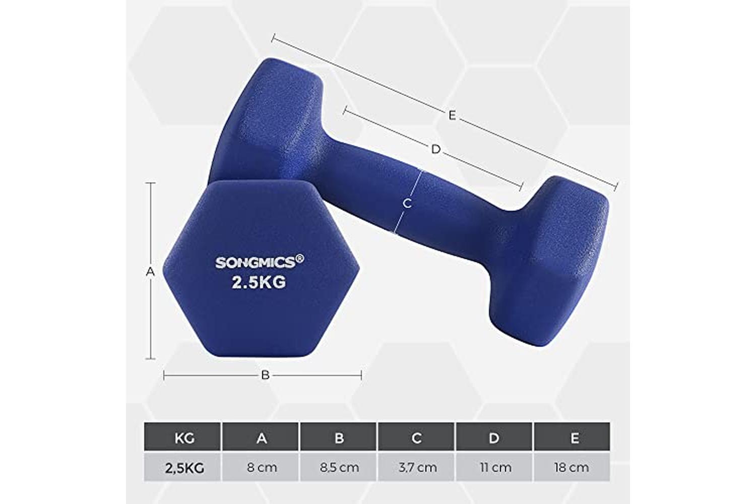 Songmics SYL65BU Dumbbells | Blue | Set of 2-5