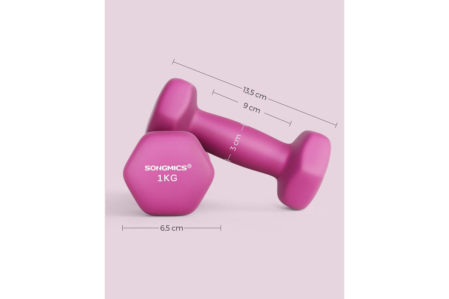 Songmics Syl902p01 Pink Dumbbells, 2 X 1kg. Free Weights For Strength And Endurance Training-6