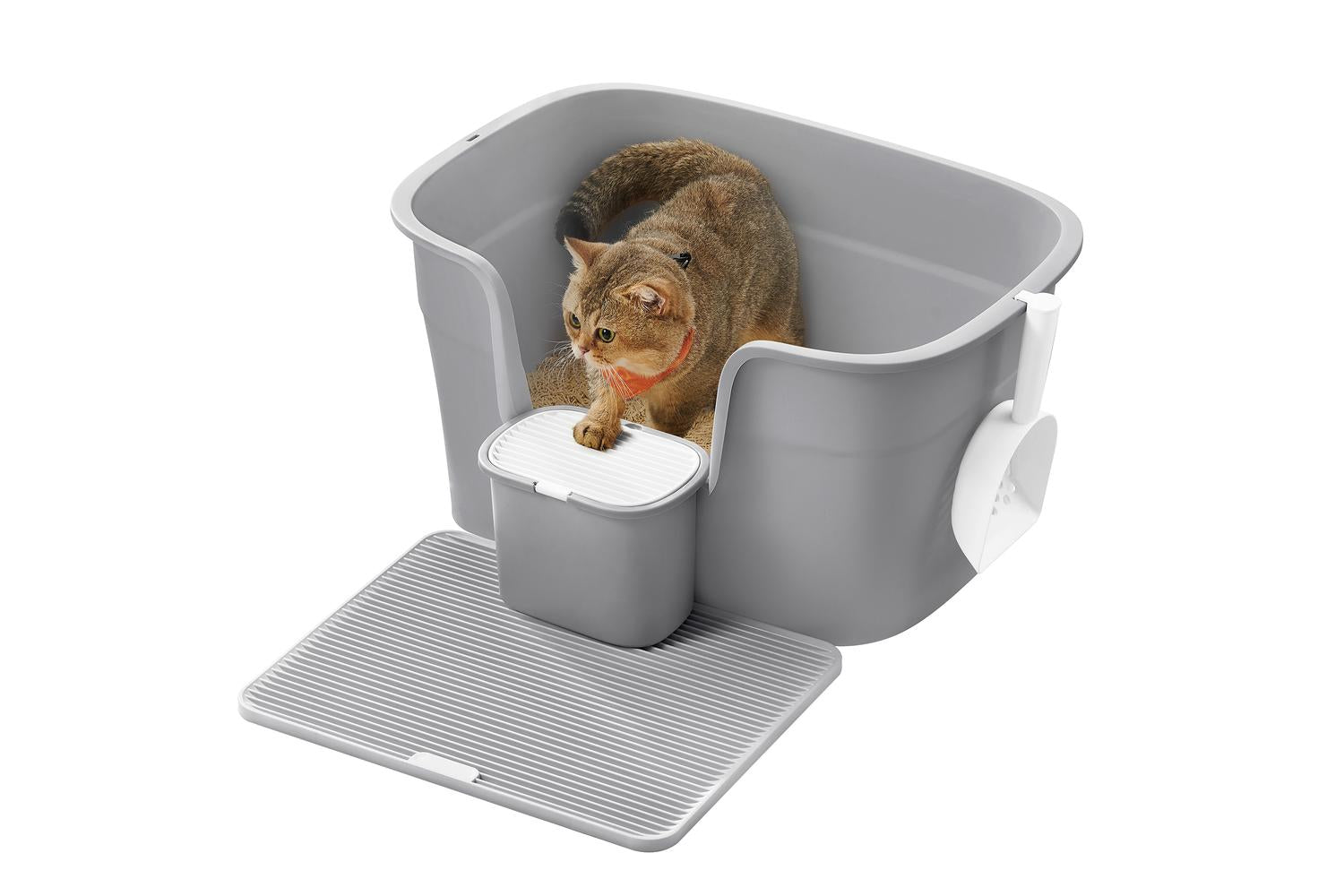 Cat Litter Box Ppt003g01 | Cat Litter Box | Polypropylene | Large-2