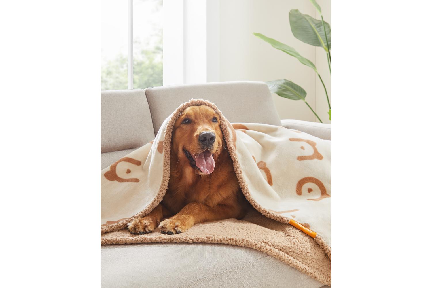Waterproof Blanket For Dogs | Pet Blanket | Sheepskin And Flannel | Medium-4
