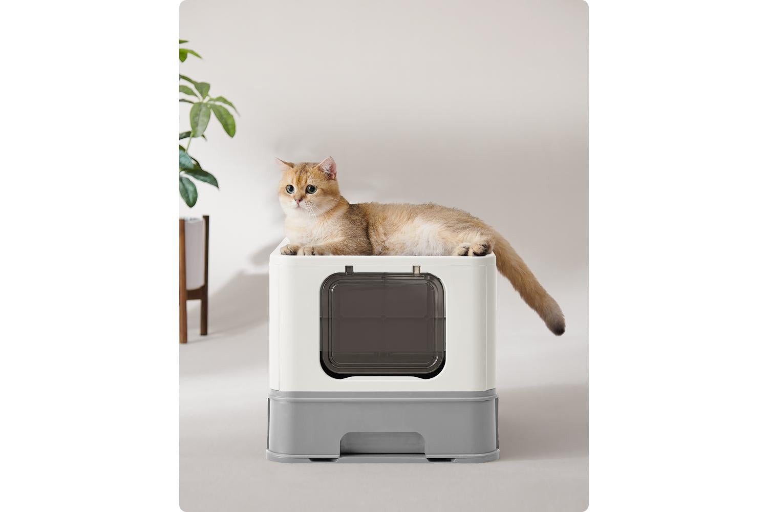 Foldable Pull-out Cat Litter Box | Cat Litter Box | Plastic | Large-5