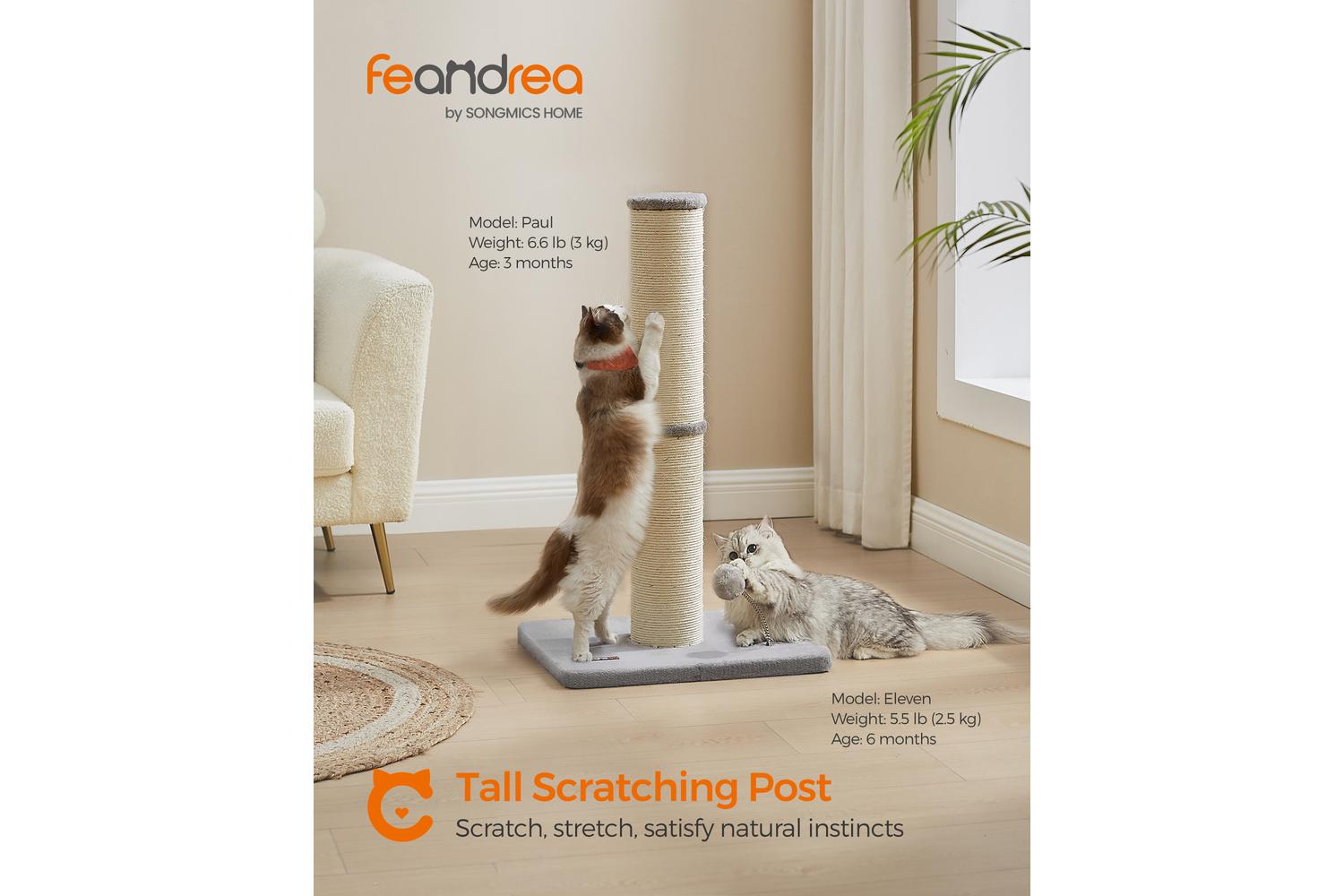 Feandrea Cat Scratching Post | Cat Tree | Sisal | 85 Cm-2