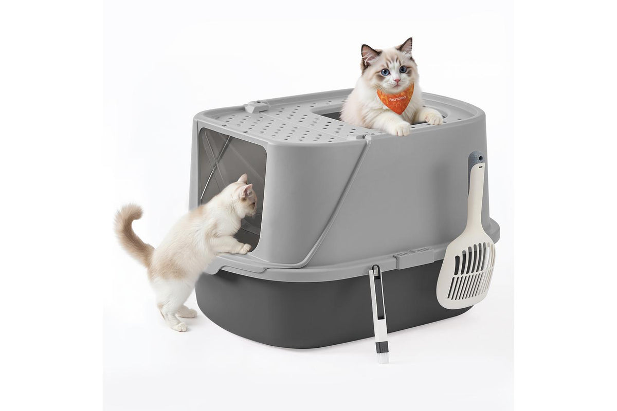 Feandrea Cat Litter Box | Cat Litter Box | Plastic | Large