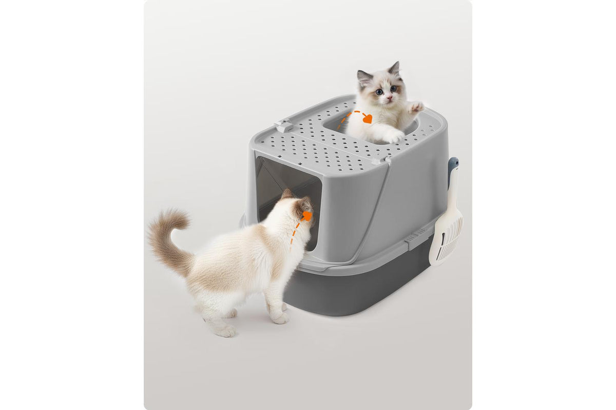 Feandrea Cat Litter Box | Cat Litter Box | Plastic | Large-6