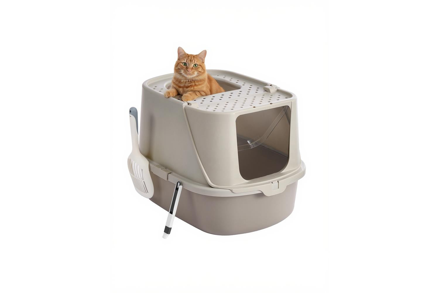 Feandrea Cat Litter Box | Cat Litter Box | Plastic | Large-2