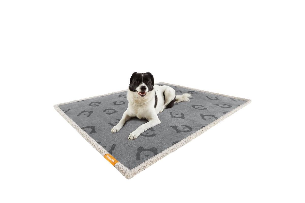 Feandrea Waterproof Blanket For Dogs | Pet Blanket | Sherpa And Flannel | 127 X 101 Cm