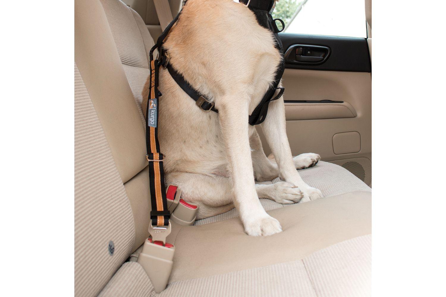 Kurgo KO2444 Seatbelt Tether | Black/Orange-2
