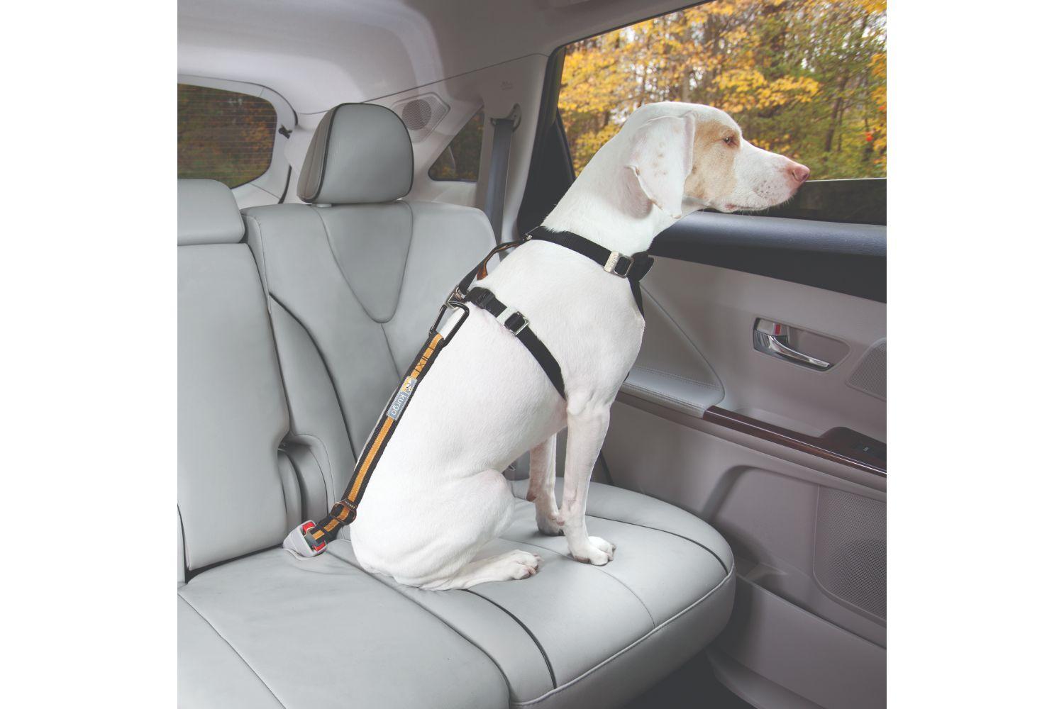 Kurgo KO2444 Seatbelt Tether | Black/Orange-3