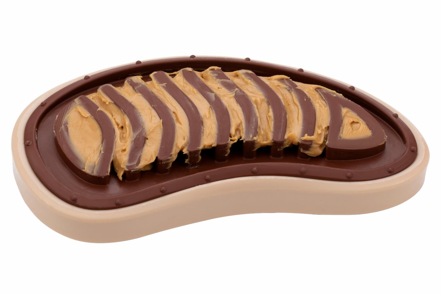 Petsafe BB-STEAK-ML-19 Busy Buddy Slab oâ€™ Sirloin Treat Ring | Medium/Large
