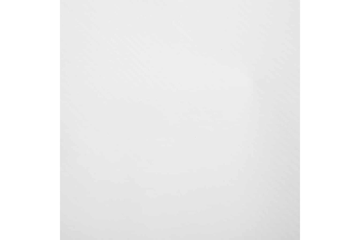 vidaXL 210725 Car Films 2 Pcs 4d White 100x150cm-4