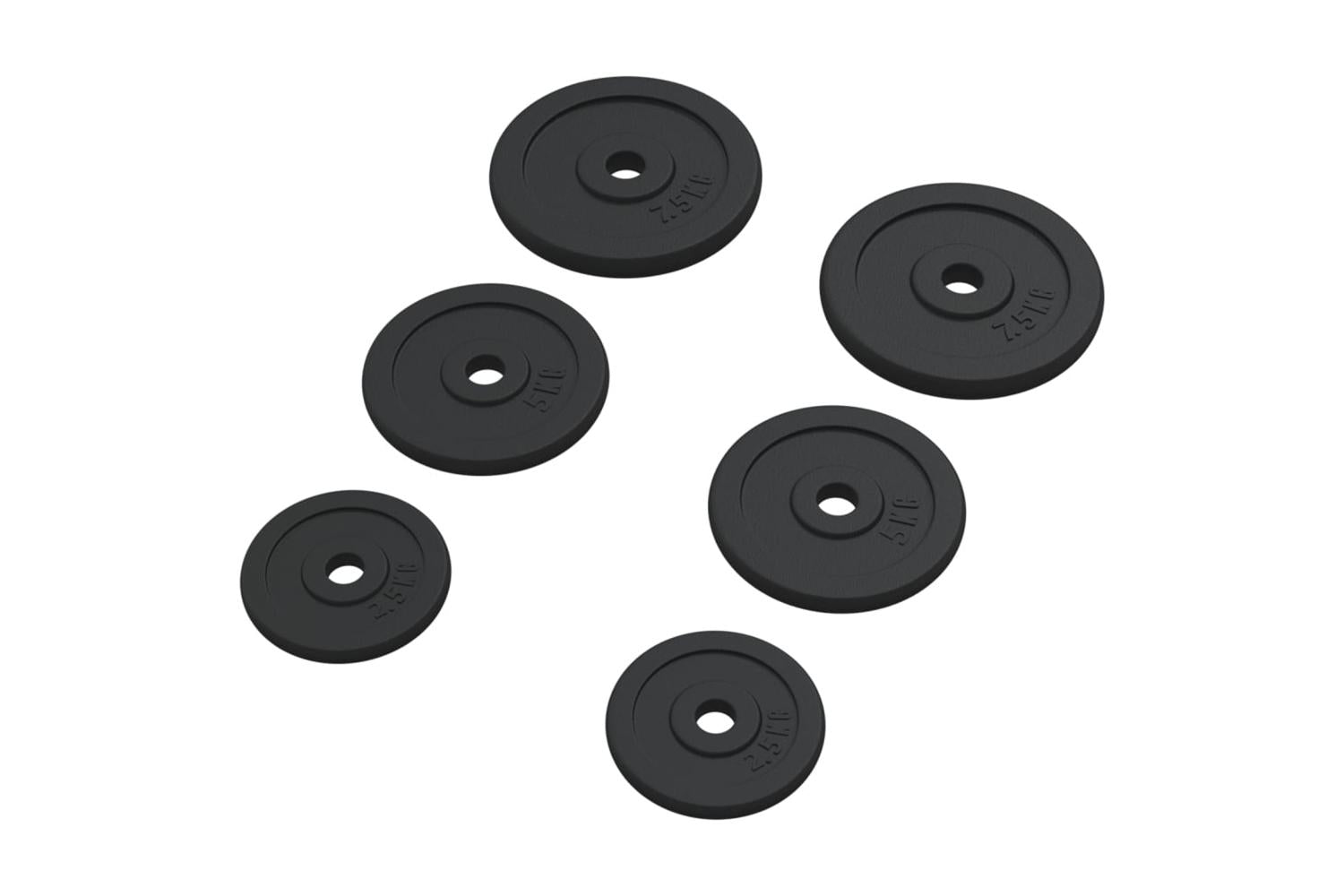 Vidaxl 93639 Weight Plates 6 Pcs 30 Kg Cast Iron