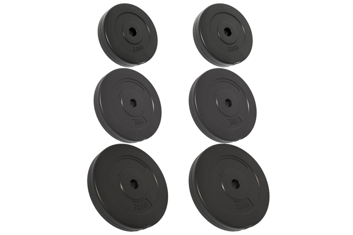 Vidaxl 93599 Weight Plates 6 Pcs 30 Kg Cement