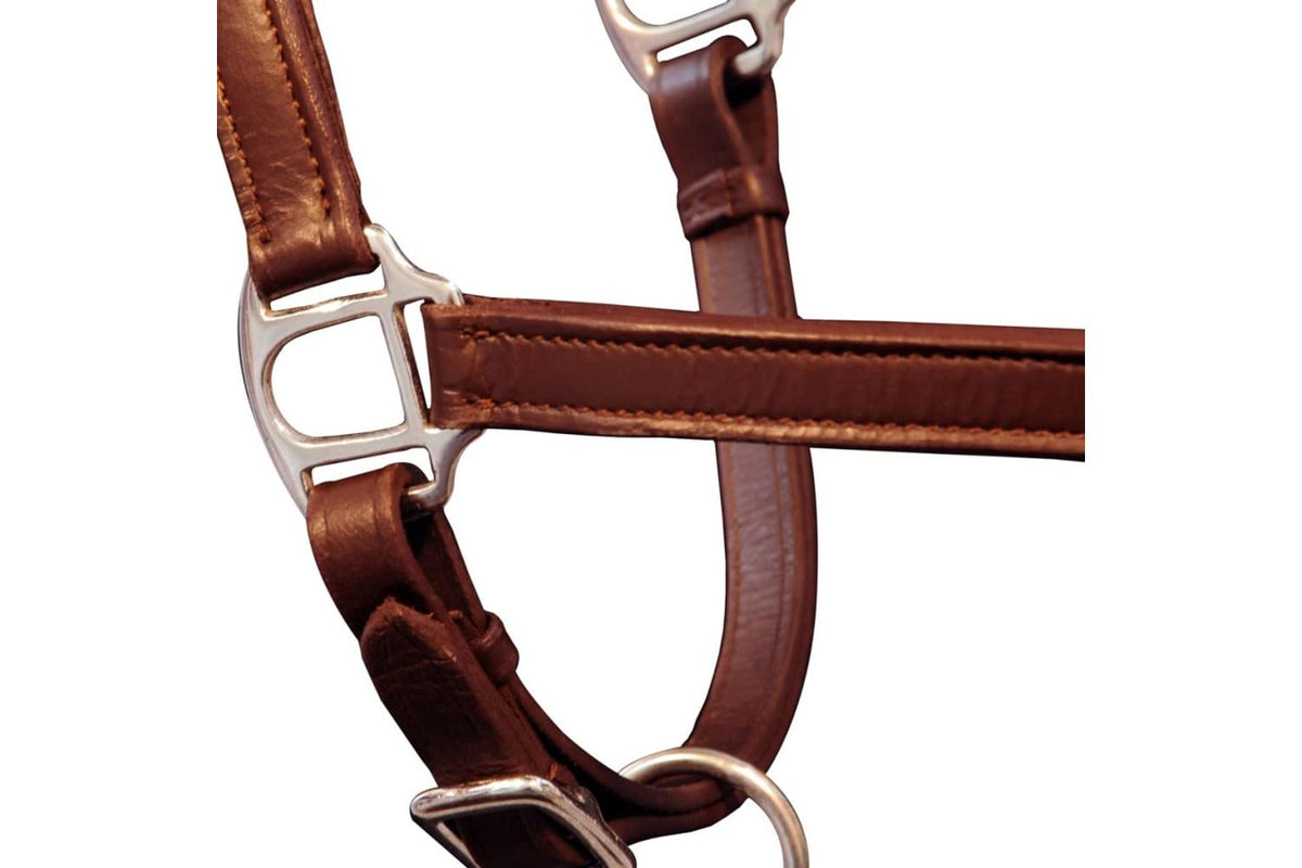 Vidaxl 90886 Real Leather Headcollar Stable Halter Adjustable Brown Pony-3