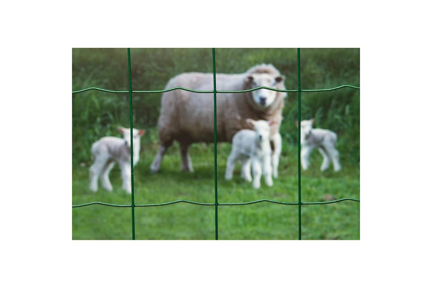 Nature 409381 Wire Mesh Rectangular 0.8x10 M Plastic Coated Steel Green-2