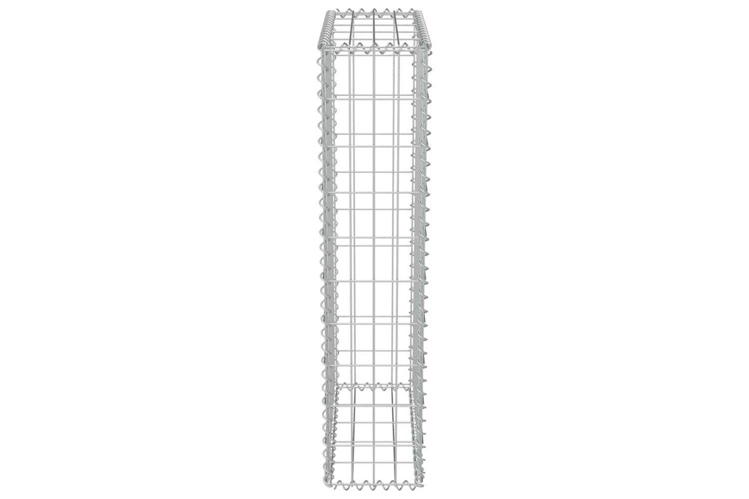 vidaXL 143576 Gabion Wall With Covers Galvanised Steel 50x20x100cm-6