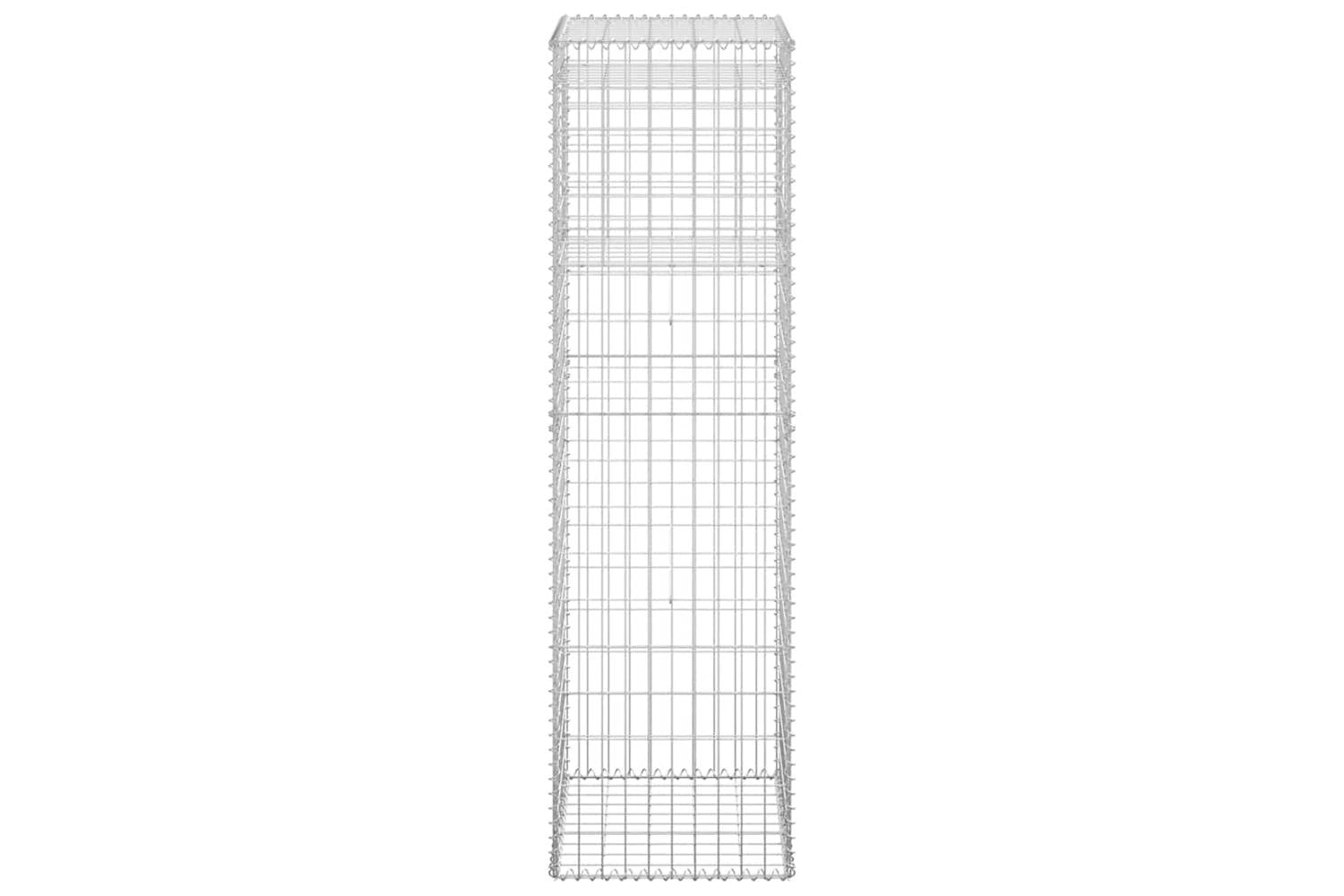 vidaXL 151273 Gabion Basket Posts 2 Pcs 50x50x180cm Iron-5