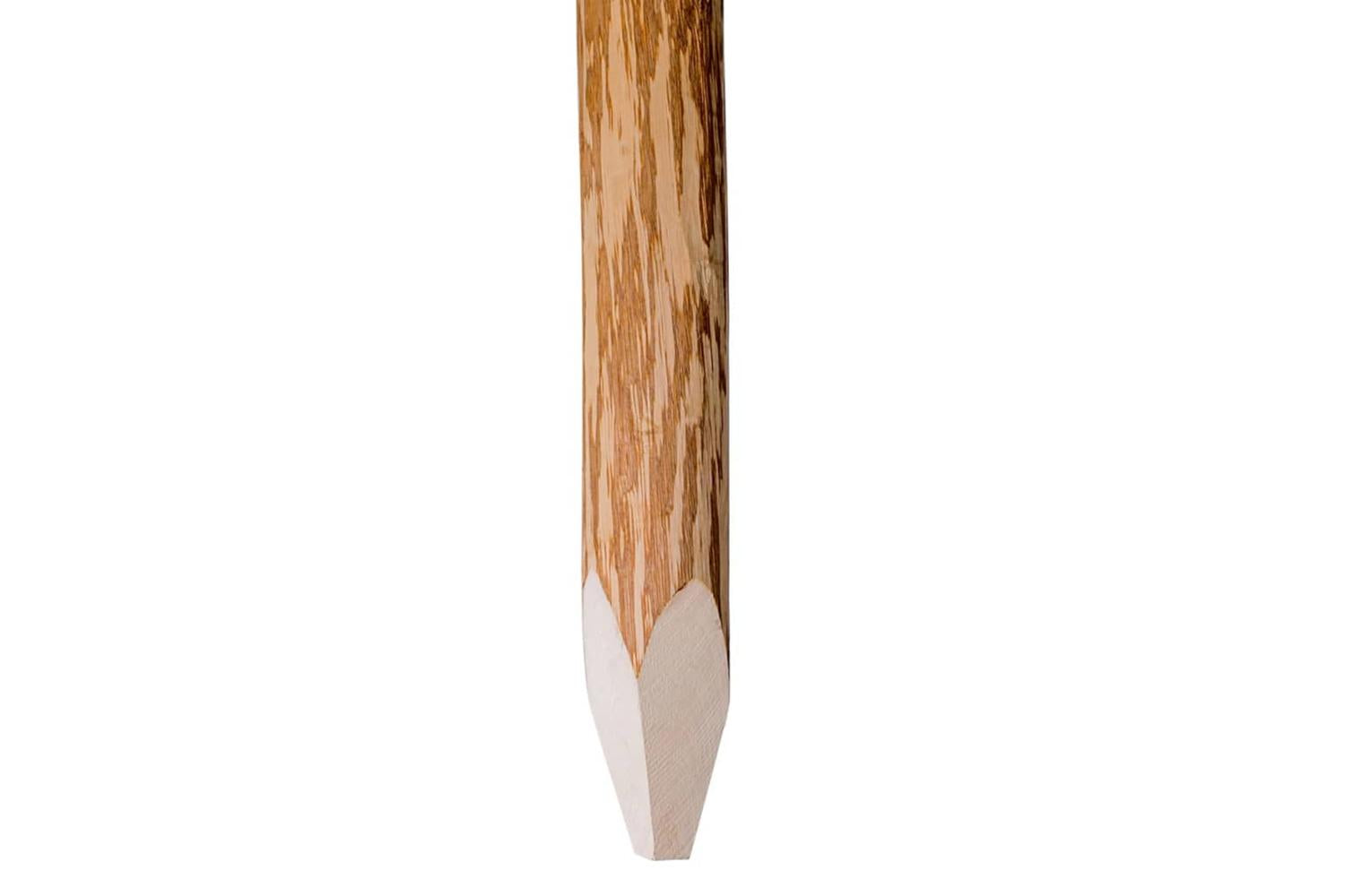 vidaXL 43145 Pointed Fence Posts 4 Pcs Hazel Wood 120cm-2