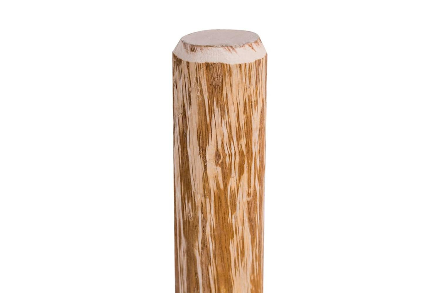 vidaXL 43145 Pointed Fence Posts 4 Pcs Hazel Wood 120cm-3