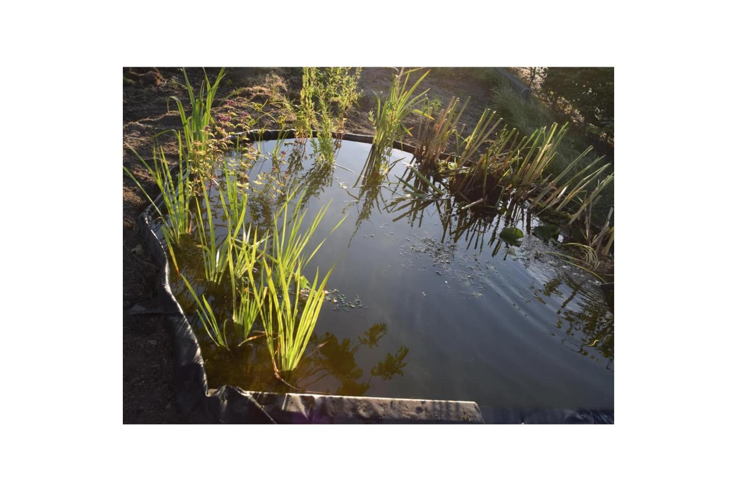 Nature 442628 Garden Border Edging 14cmx10m 7mm Black-7
