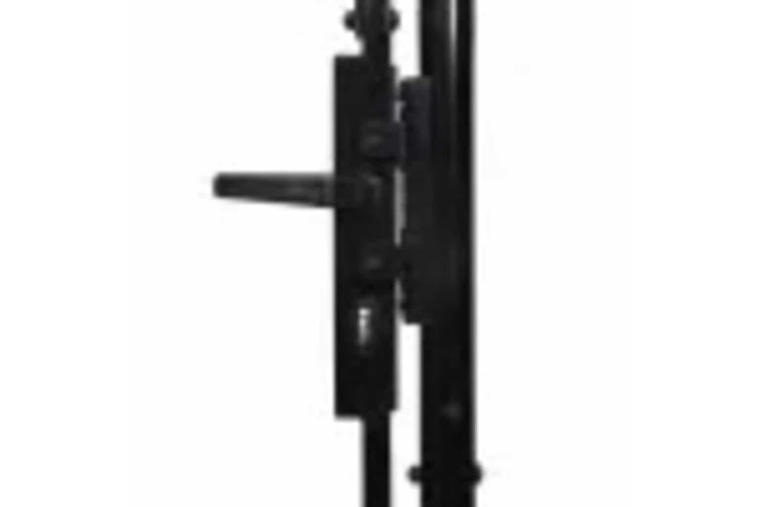vidaXL 144359 Double Door Fence Gate With Spear Top 300x150cm-5