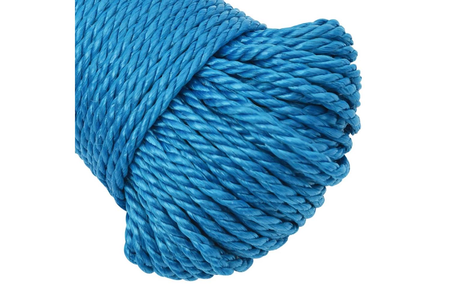 vidaXL 152960 Work Rope Blue 3mm 250 M Polypropylene-4