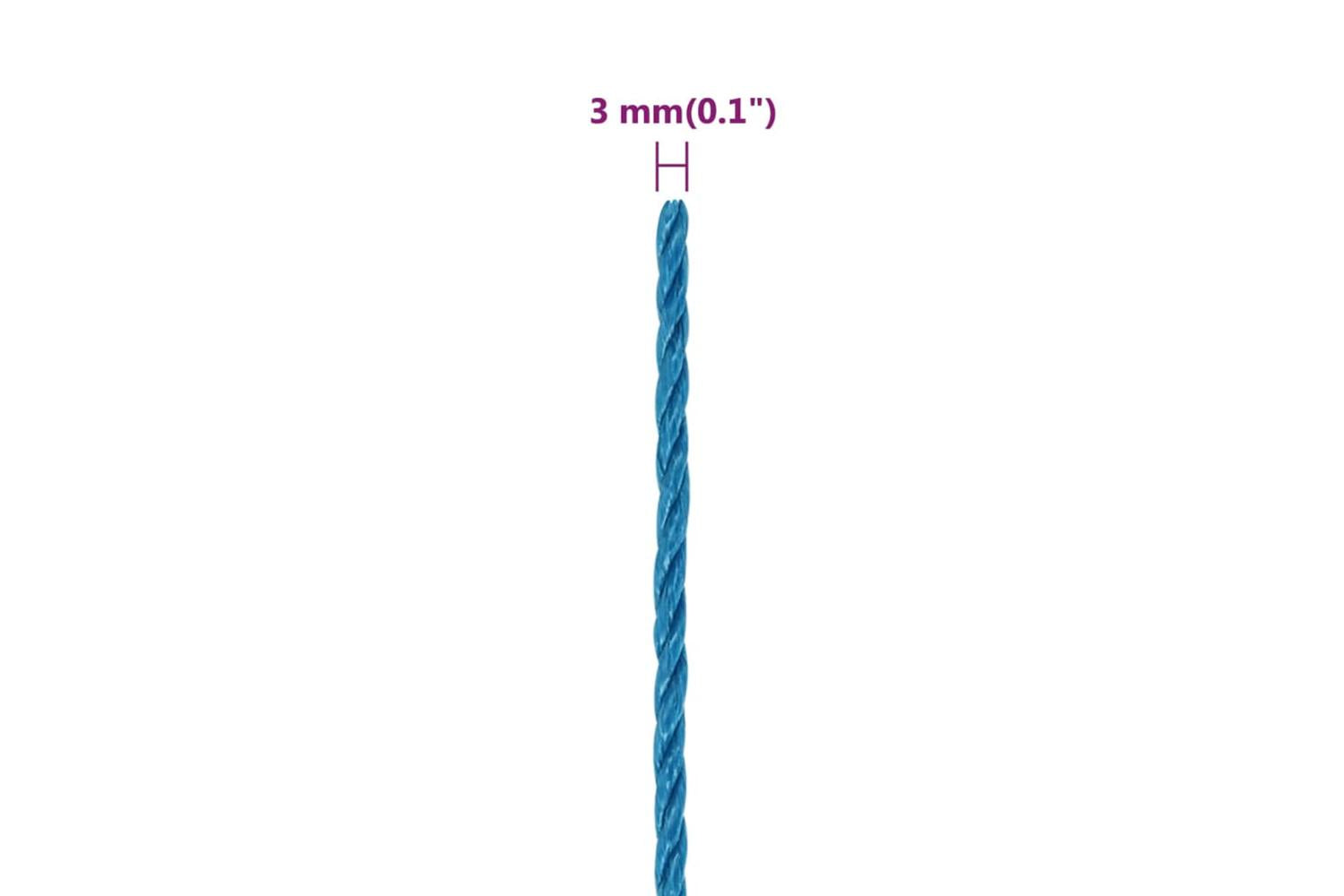 vidaXL 152960 Work Rope Blue 3mm 250 M Polypropylene-6