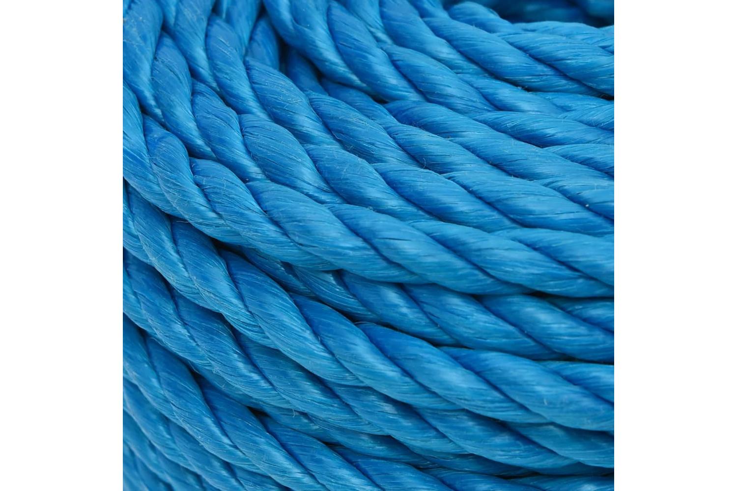 vidaXL 152977 Work Rope Blue 12mm 25 M Polypropylene-4
