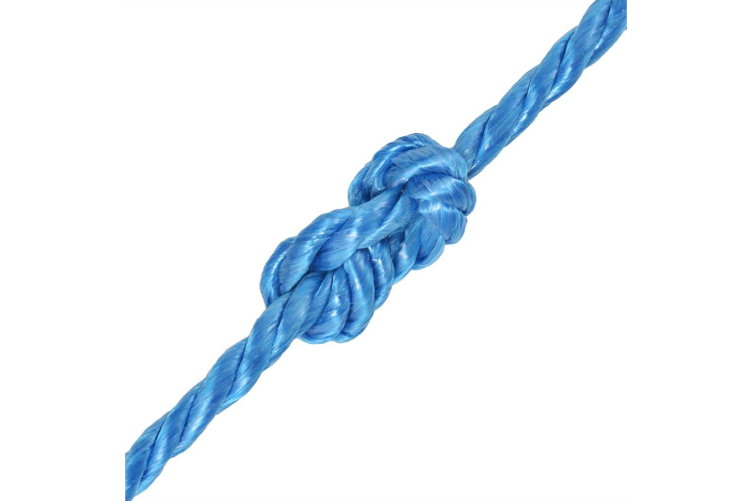 vidaXL 143849 Twisted Rope Polypropylene 14mm 250 M Blue-2